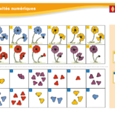 51210 - Page 5 - Extrait Veritech