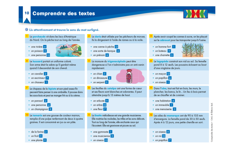 Aperçu : Comprendre des textes – CM2