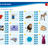 51326 - Mots et phrase Cycle 2 - INT 3
