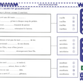 51620 - Orthographe CM1 - INT 2