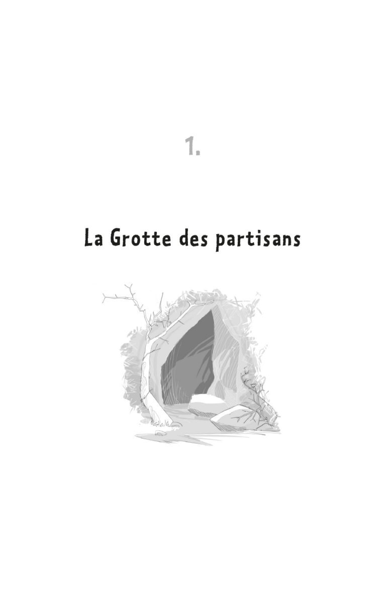 Aperçu : BDL – Histoires fantastiques et merveilleuses – 24 livres + fichier