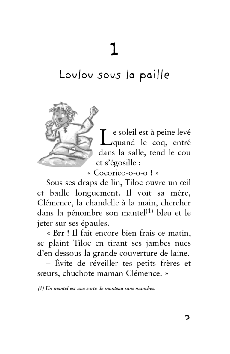 Aperçu : BDL – Quatre lapins et un innocent – 30 livres + fichier