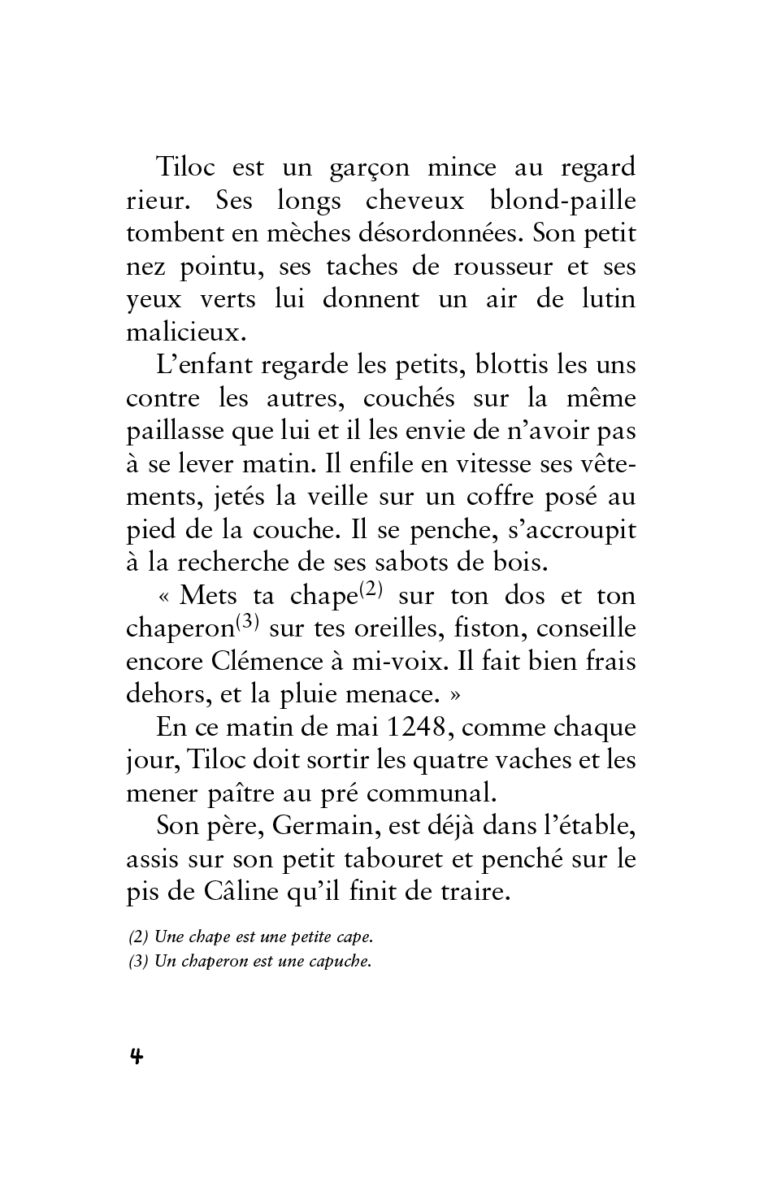 Aperçu : BDL – Quatre lapins et un innocent – 30 livres + fichier
