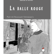 image BDL pour site sed_la balle rouge