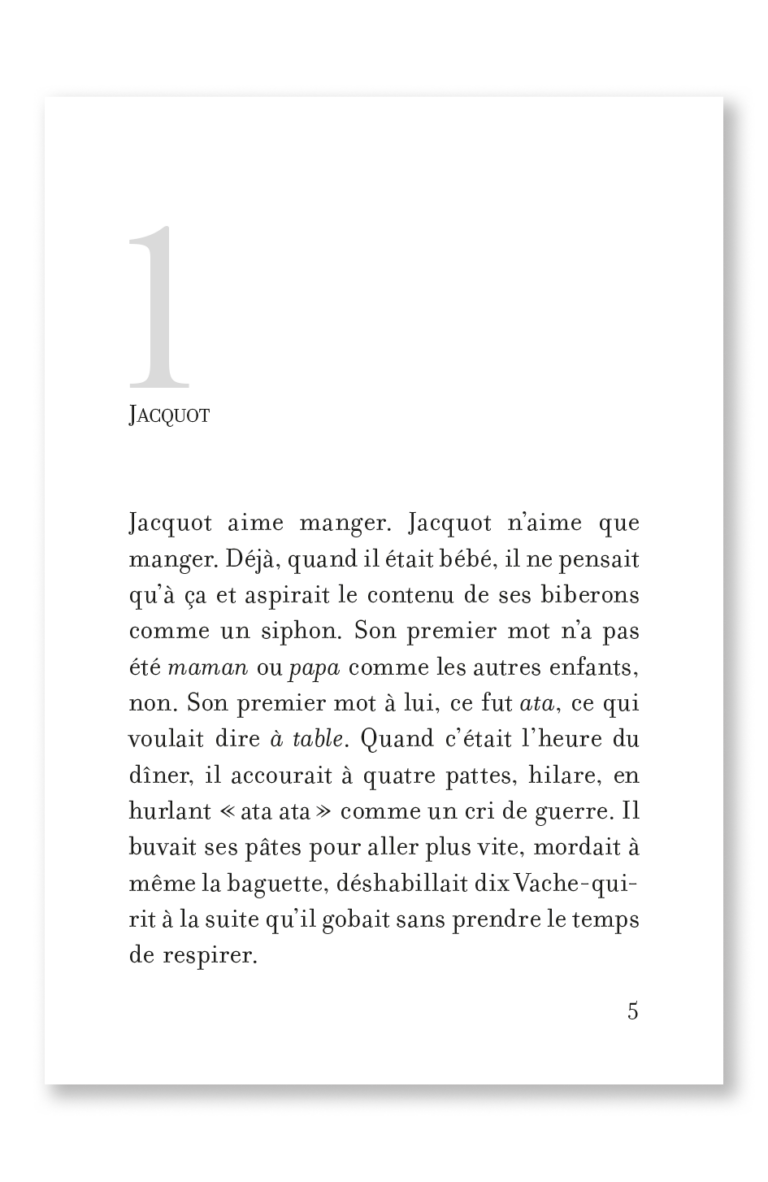 Aperçu : PL – L'école des gâteaux – 18 romans + fichier