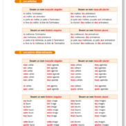 44350 - Interlignes Etude de la langue CE1 - Intérieur Page 11
