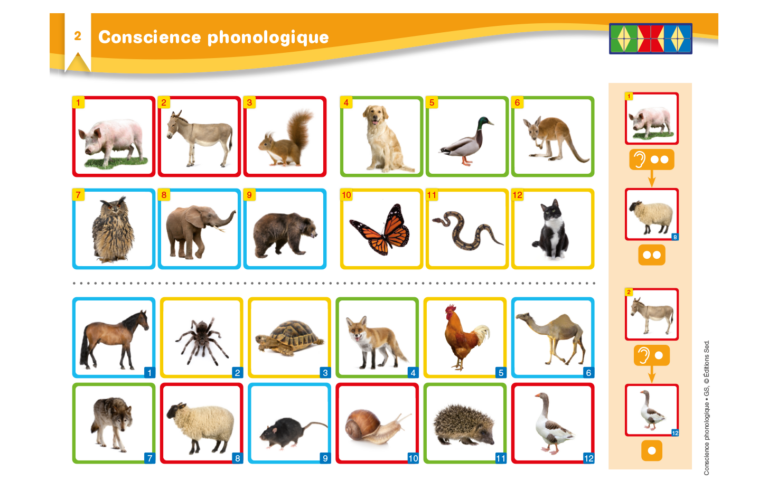 Aperçu : Conscience phonologique – GS