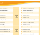 51229 - Page 3 - Extrait Veritech