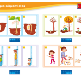 51229 - Page 5 - Extrait Veritech