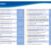 51333 - Page 3 - Extrait Veritech