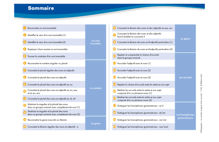 Aperçu : Orthographe 2 – Nombre, genre, accords – CE2