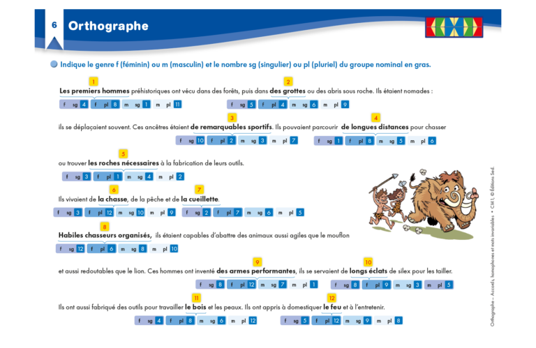 Aperçu : Orthographe 1 – Accords, homophones, mots invariables – CM1