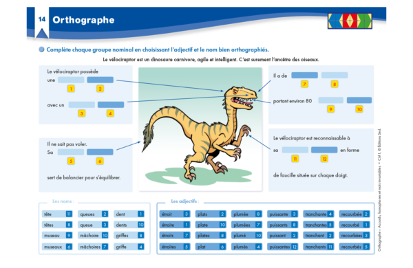 51335 - Page 5 - Extrait Veritech