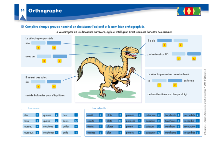 Aperçu : Orthographe 1 – Accords, homophones, mots invariables – CM1