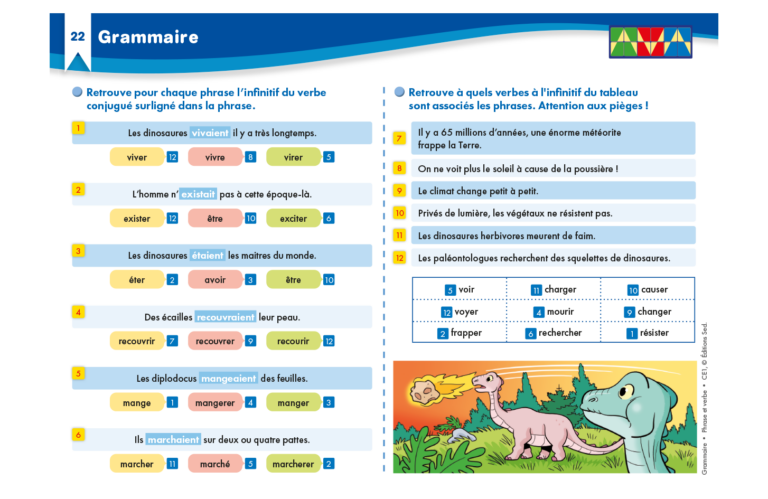 Aperçu : Grammaire – Phrase et verbe – CE1