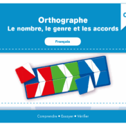 VERITECH – Orthographe – Nombre, genre, accords – CE1