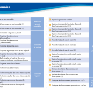 VERITECH – Orthographe – Nombre, genre, accords – CE1