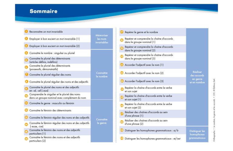 Aperçu : Orthographe – Nombre, genre, accords – CE1