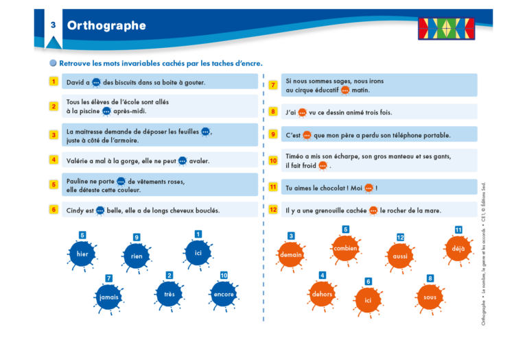 Aperçu : Orthographe – Nombre, genre, accords – CE1