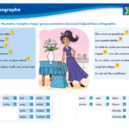 VERITECH – Orthographe – Nombre, genre, accords – CE1