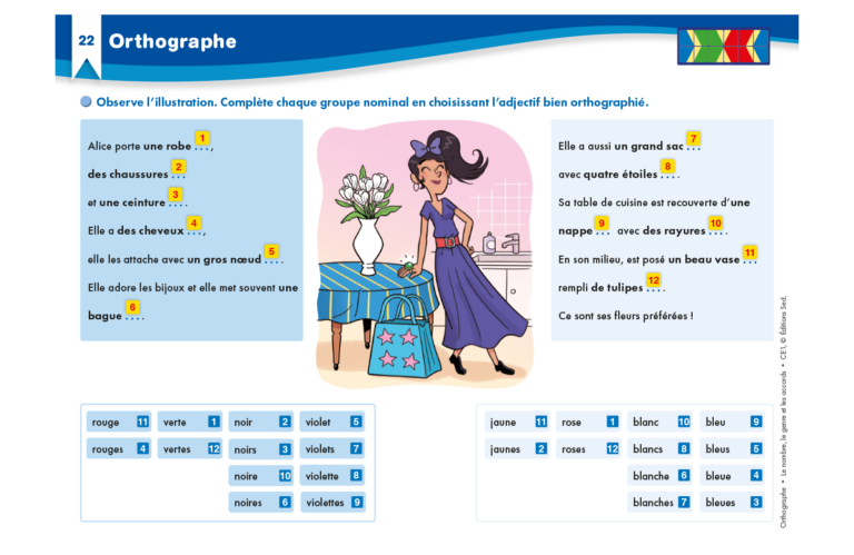 Aperçu : Orthographe – Nombre, genre, accords – CE1