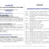 51525 - Page 2 - Extrait Veritech