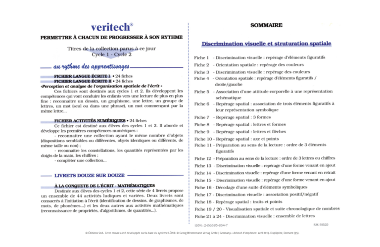 Aperçu : Discrimination visuelle et structuration spatiale – GS
