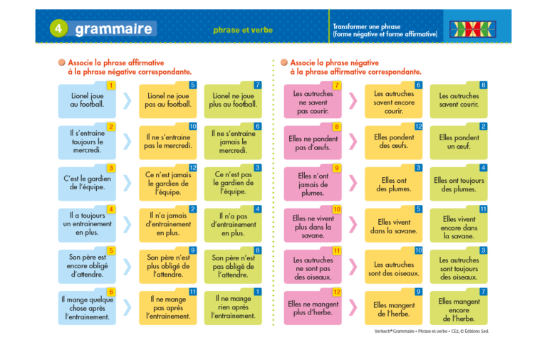 Aperçu : Grammaire – Phrase et verbe – CE2