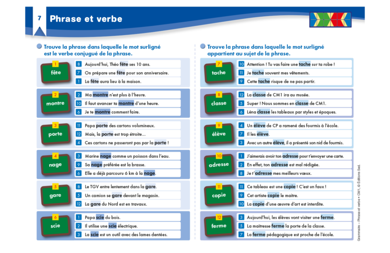 Aperçu : Grammaire – Phrase et verbe – CM1