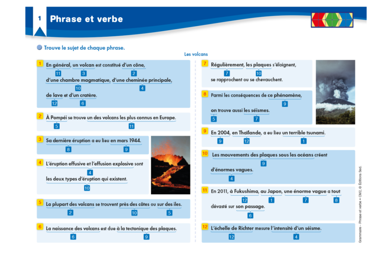 Aperçu : Grammaire – Phrase et verbe – CM2