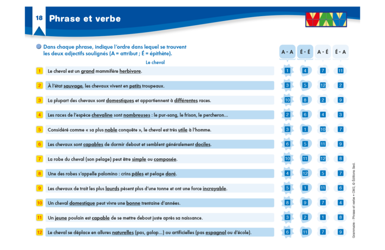 Aperçu : Grammaire – Phrase et verbe – CM2