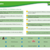 51729 - Page 4 - Extrait Veritech
