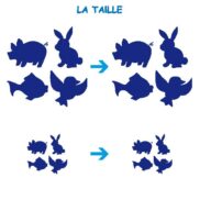 52680 - Cartes Proprietes_Page_5
