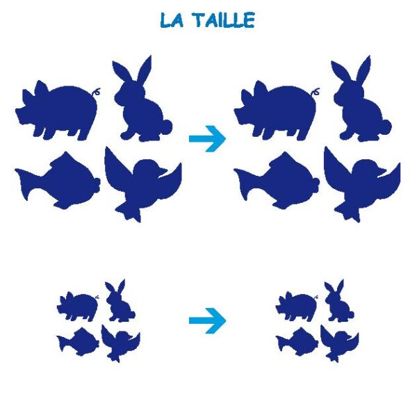 52680 - Cartes Proprietes_Page_5