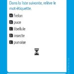 JEUX D'ETUDE DE LA LANGUE - Lexiquizz - Cycle 3 – aperçu 2