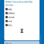 JEUX D'ETUDE DE LA LANGUE - Lexiquizz - Cycle 3 – aperçu 3