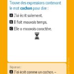 JEUX D'ETUDE DE LA LANGUE - Lexiquizz - Cycle 3 – aperçu 10