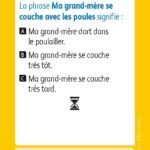 JEUX D'ETUDE DE LA LANGUE - Lexiquizz - Cycle 3 – aperçu 11