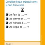 JEUX D'ETUDE DE LA LANGUE - Lexiquizz - Cycle 3 – aperçu 12