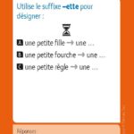 JEUX D'ETUDE DE LA LANGUE - Lexiquizz - Cycle 3 – aperçu 13