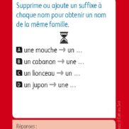 52725 - LexiQuizz - Familles de mots_Page_2