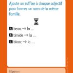 JEUX D'ETUDE DE LA LANGUE - Lexiquizz - Cycle 3 – aperçu 15