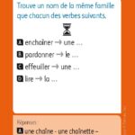 JEUX D'ETUDE DE LA LANGUE - Lexiquizz - Cycle 3 – aperçu 17