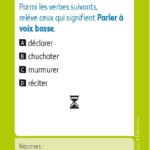 JEUX D'ETUDE DE LA LANGUE - Lexiquizz - Cycle 3 – aperçu 21