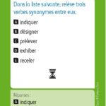 JEUX D'ETUDE DE LA LANGUE - Lexiquizz - Cycle 3 – aperçu 22