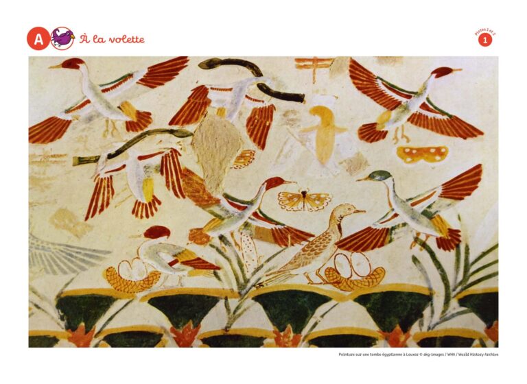 Aperçu : Niveau 1 – le coffret complet – Cycle 1