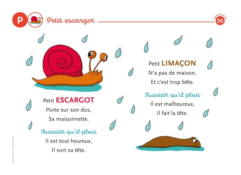 Aperçu : Niveau 1 – le coffret complet – Cycle 1