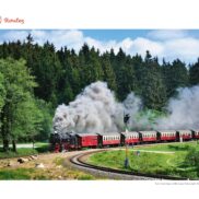 90231-Am Stram Gram-PS-MS - Comptines_Page_10