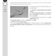 90231 - Am Stram Gram ! PS-MS - FR_Page_13