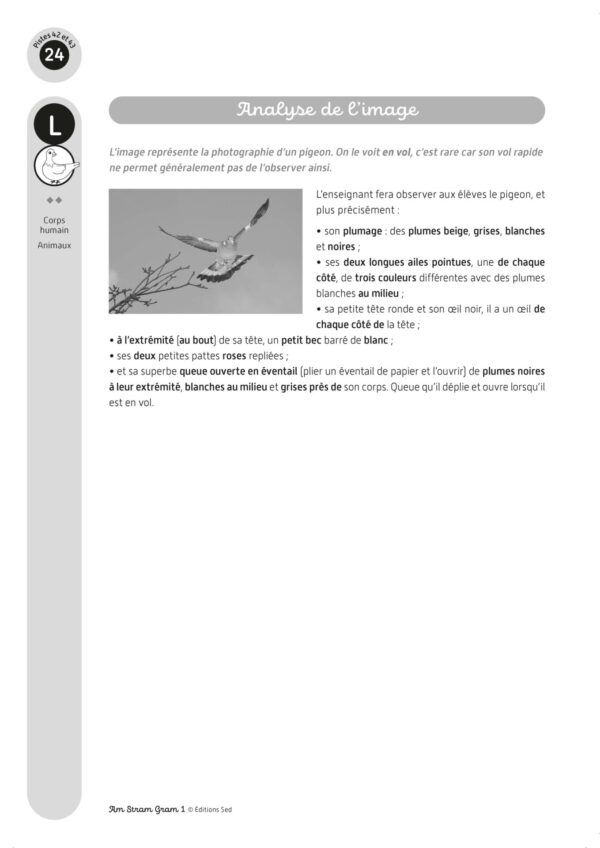 90231 - Am Stram Gram ! PS-MS - FR_Page_13